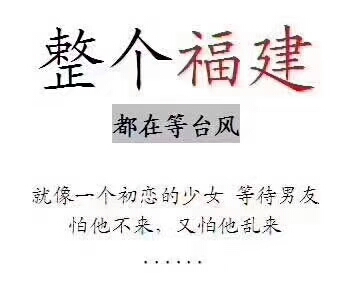 聽說福建的少女們都像等待男友一樣等待臺(tái)風(fēng)的到來(lái)